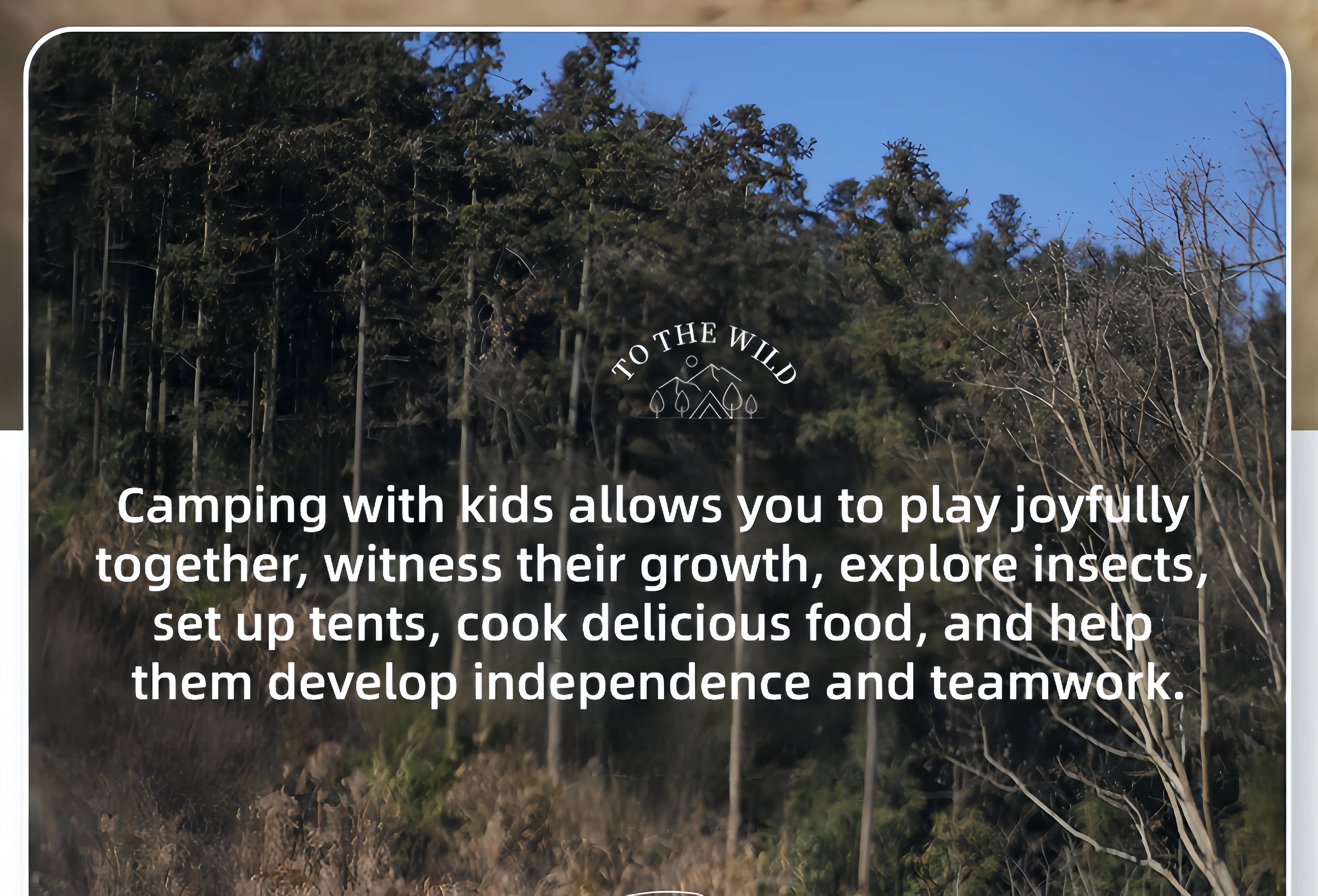 Window Outdoor Sun Room Tents Transparent Camping Tent 4-8 Person Star Dome Tent Portable Spherical Tents 360 Degree Panoramic