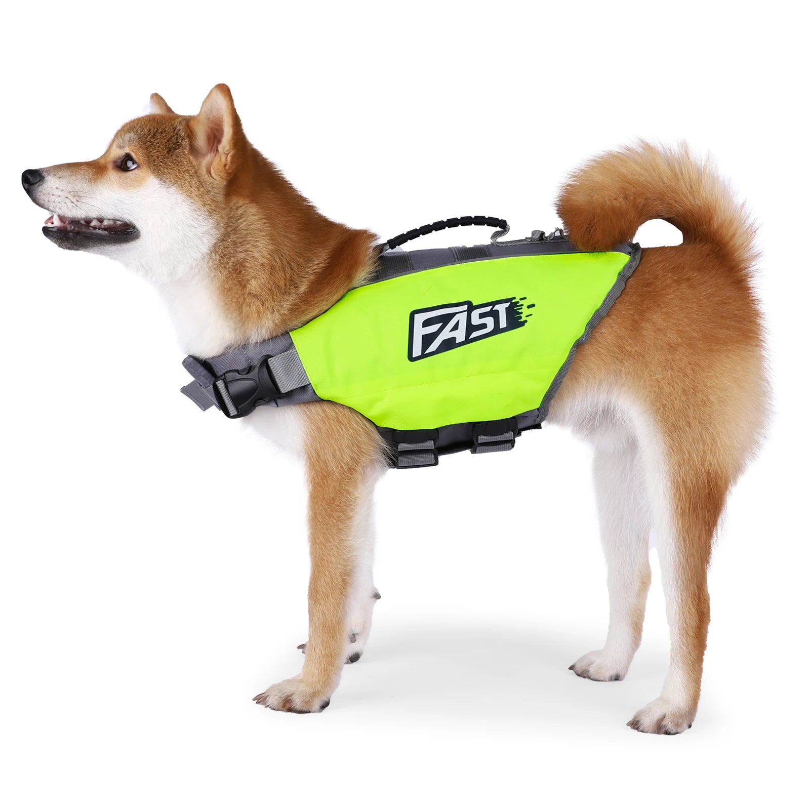 Dog Life Jacket